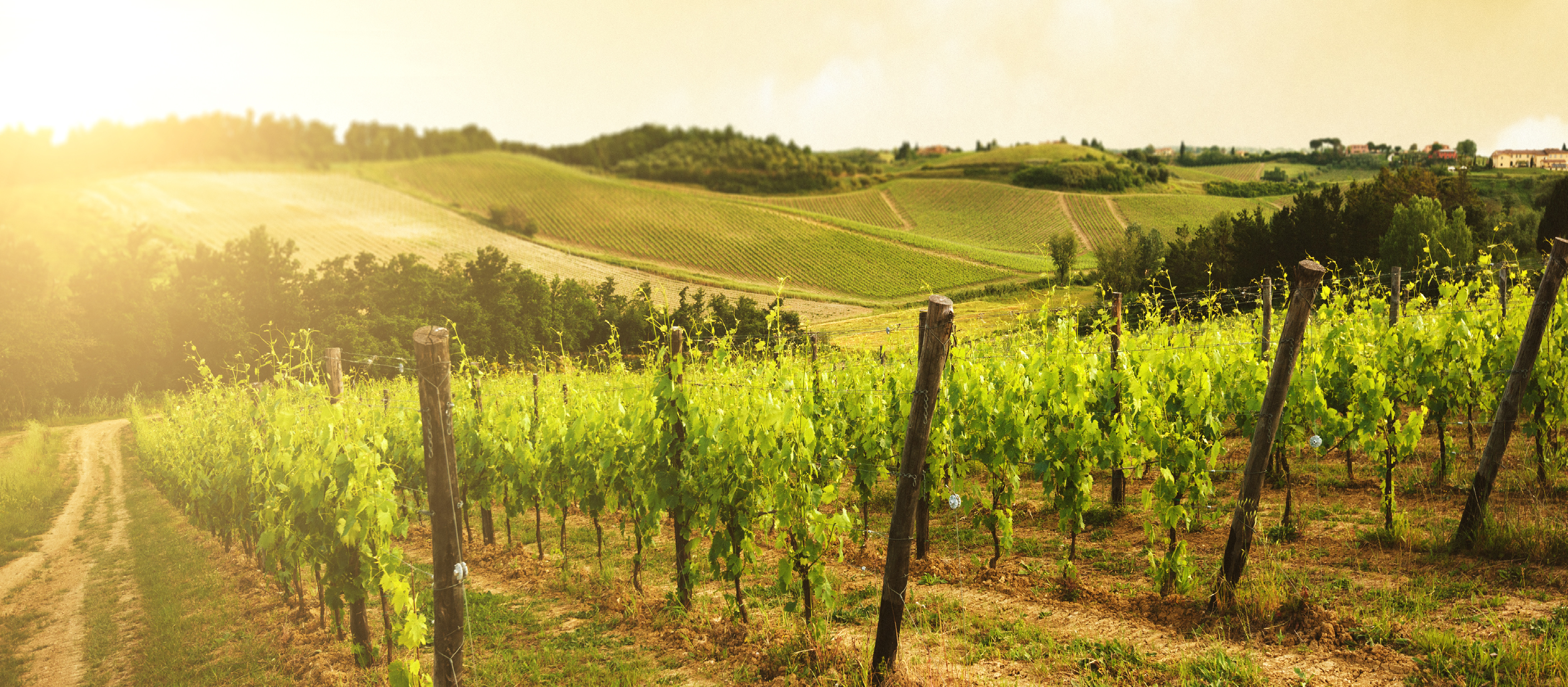 Technical Newsletter of the Crowe Horwath International African firms