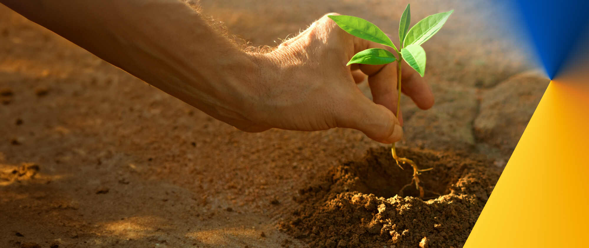 Audit and assurance services