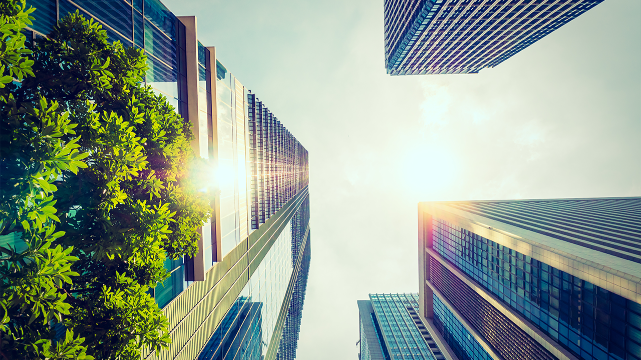 Why ESG Should Be Part of Your Business Goals